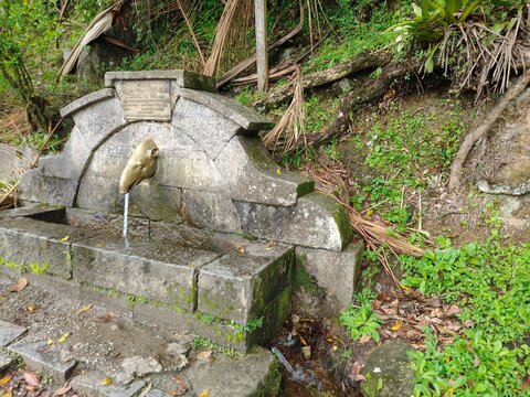 Uma fonte de &aacute;gua pot&aacute;vel com decora&ccedil;&atilde;o de uma cabe&ccedil;a de anta em bronze. na beira da Rodovia Tenente Celestino Am&eacute;rico Serra (SP 79) , na cidade de Tapira&iacute;, interior do Estado de S&atilde;o Paulo, Brasil, 