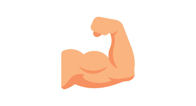 Flexed bicep muscle illustration on a white background anatomy strength