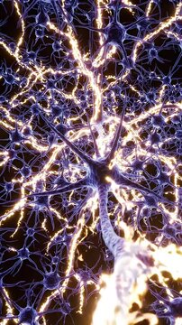 Abstract Neural Network Activity Animation - A detailed 3D animation depicts the complex activity within a neural network.