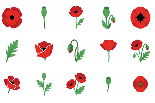 Set of hand drawn red poppy flowers and green leaves isolated on a white background for design
