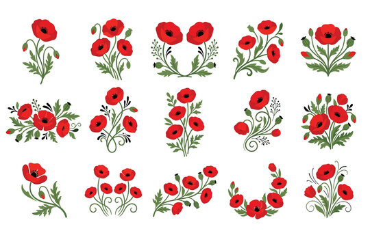 Set of hand drawn red poppy flower illustrations arranged in oval frames and floral wreath designs