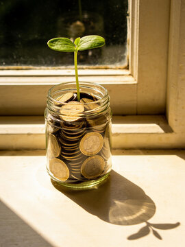 Glass Jar of Coins with Green Seedling on Windowsill, Savings Growth