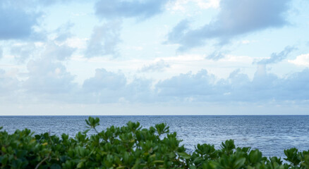 Ocean horizon beyond lush green coastal foliage under cloudy sky © Alla