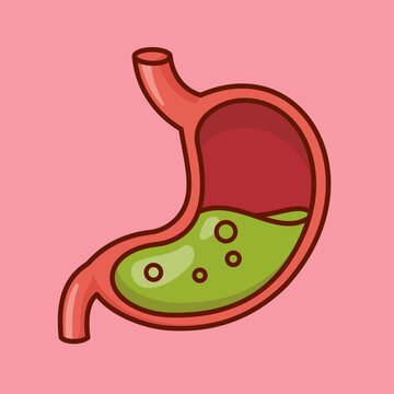 Stomach Acid Cartoon 