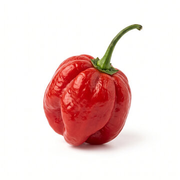 Fresh whole red habanero pepper with a green stem isolated on a pure transparent background.