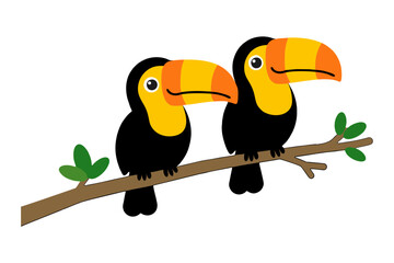 Fototapeta premium Two toucan birds on branch - cute toucans couple cartoon illustration