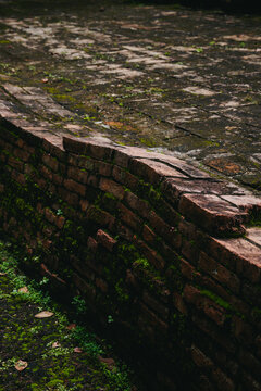 Low brick wall with green moss on ancient stone pavement