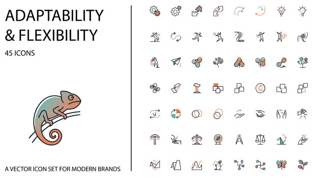 Adaptability and flexibility vector icon set for business