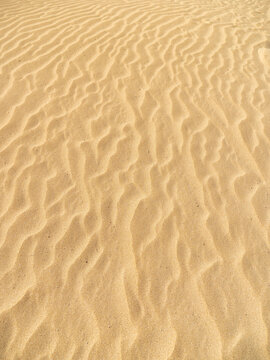 Close up of pale sand ripples on a dune