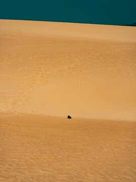 Small figure crossing a wide sand dune