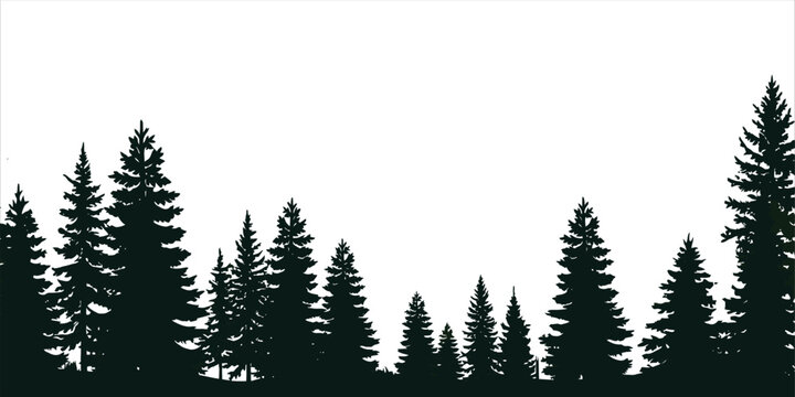 Silhouette of a pine forest border isolated on a white background for graphic design projects