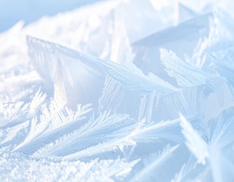 氷　Frosted Ice Crystal Texture in Soft Blue and White with Delicate Winter Patterns