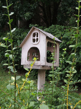 Close-up of a homemade backyard bird feeder made from a plywood house