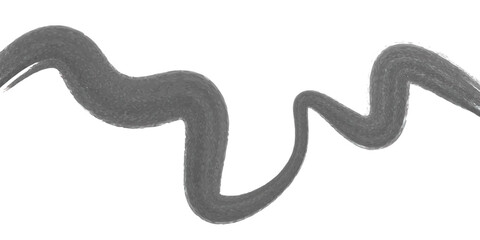 Fototapeta premium Black Ink Brush Stroke Abstract Wave Curve On White Background Minimal Art