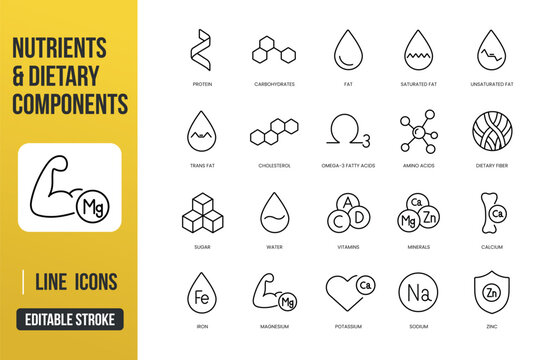 Nutrients and dietary components line icons with editable stroke
