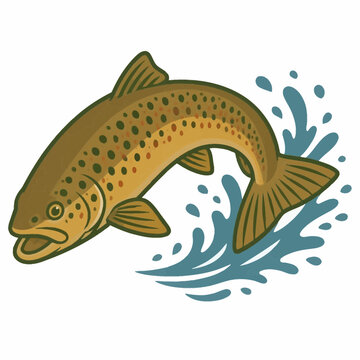Brown trout fish jumping out of water vector illustration