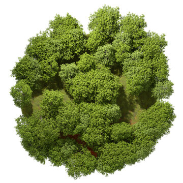 From above green forested tranquility landscape cutout transparent backgrounds 3d illustration png