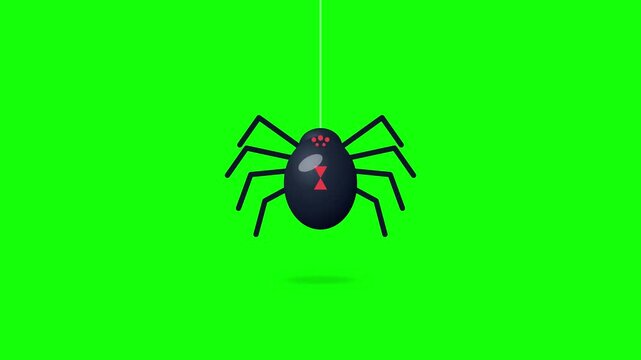 Black widow spider hanging from silk thread in digital motion graphic video clip on green screen background