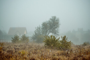 działka budowlana,mgła,jesień   © Marcin Łazarczyk