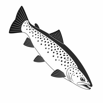 Black and white trout fish vector illustration