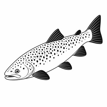 Black and white trout fish vector illustration