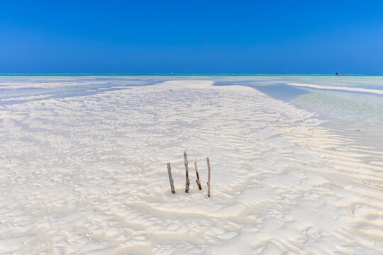 Four wooden sticks planted in rippled white sand on a vast tidal flat at low tide with shallow water and a distant horizon with kites under a deep blue sky, Jambiani, Tanzania