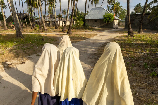 Rear view of four schoolgirls in cream hijabs and blue uniforms walking along a sandy village path lined with coconut palms and low stone houses at sunset, Jambiani, Tanzania