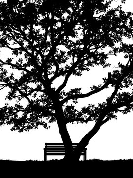 Silhouette of a tree with a bench beneath its branches against a white background, ||tree, tranquility