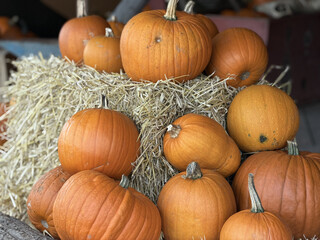 Pumpkins stacked on a hay bale © Yuliia