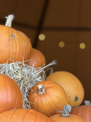 Pile of orange pumpkins with hay © Yuliia