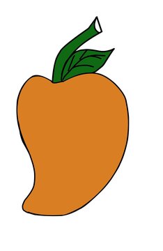 vector illustration of an mango