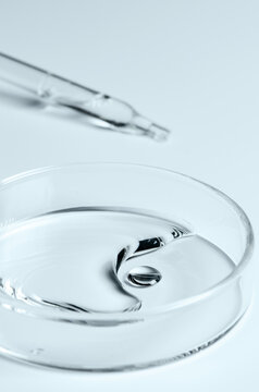 Testing a transparent cosmetic product in a Petri dish.
