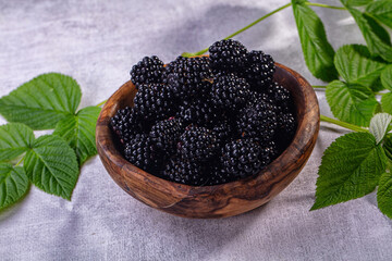 Fresh blackberries in wooden bowl with green leaves on textured gray surface, fruit still life © Andrei Starostin