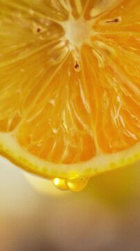 Extreme macro shot of a halved yellow lemon in agriculture and horticulture, showing detailed pulp fibers and seeds while a single drop of juice slowly trickles down its textured surface