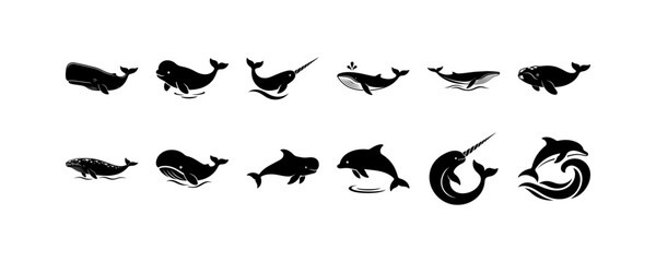 Set of various whale species silhouettes in different swimming poses. © HORECCA
