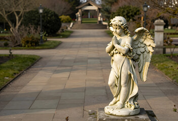 Fototapeta premium Spirituality and peace, stone angel statue praying in a quiet memorial garden with soft sunlight and blurred pathway in the background