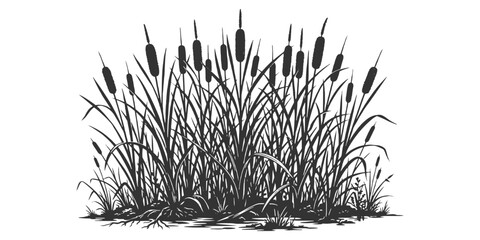Fototapeta premium Black and white hand drawn cattail plants and bulrush reeds grass bush silhouette vector illustration.