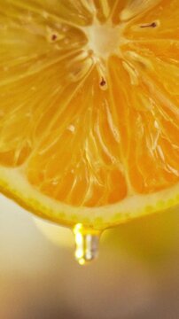 A close-up shot of a halved citrus fruit displays its detailed fibers and seeds, with a single drop of juice falling against a scenic backdrop-theme of agriculture and fresh food manufacture