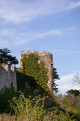 Ancient castle tower ruin overgrown with green ivy © MexChriss
