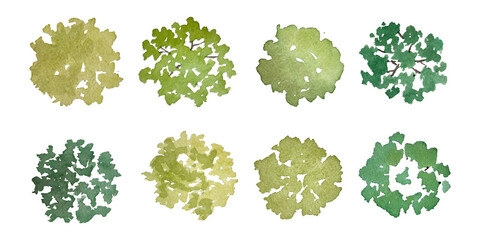 Set of watercolor trees in plan view for use in architectural drawings - isolated on transparent background © Manon