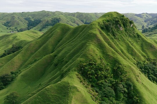 Rolling green hills landscape
