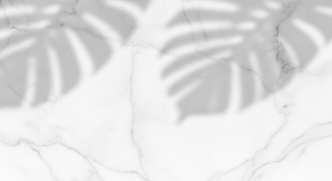 Abstract shadow play on marble surface with tropical leaf silhouettes