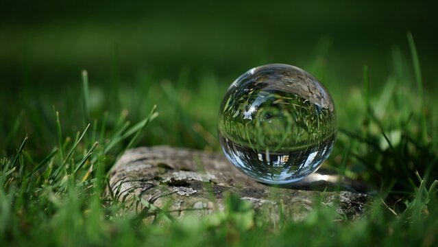 Glass sphere resting upon a weathered wooden stump amidst lush vibrant green grass outdoors.