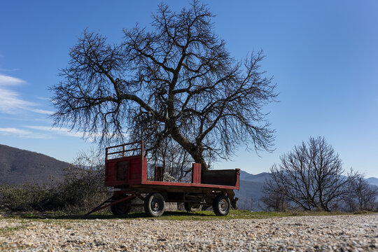 Old red wooden flatbed farm trailer parked on a gravel roadside beneath a large leafless winter tree with distant mountain ridges stretching across the rural countryside.