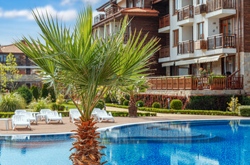 Fototapeta premium A tropical palm tree stands by a clear blue swimming pool outside a modern resort under a sunny sky.