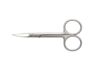 Stainless Steel Curved Beauty Scissors © Frodo