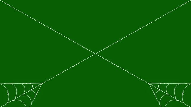 Elegant white spider web rapidly expanding and contracting with elastic silk thread motion ,spooky Halloween spider web overlay on clean green background,4k video