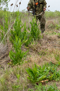 Worker in camouflage clothing using brush cutter in high weeds field