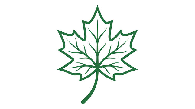 Maple Leaf Outline. Botanical Autumn And Nature Symbol. Canadian And Seasonal Design Element. Elegant Line Art Vector Illustration