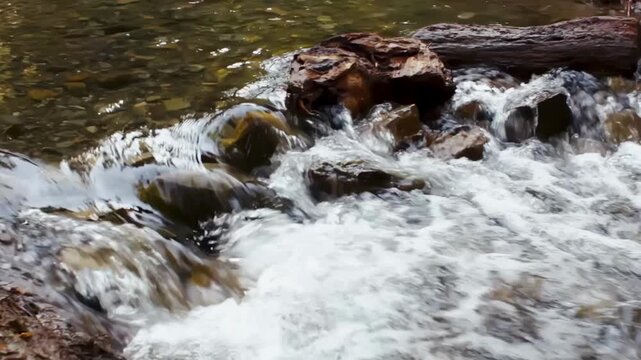 Clear mountain creek water flowing rapidly over smooth wet stones and fallen log in forest, natural stream cascade concept.
